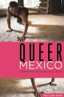 Queer Mexico: Cinema and Television Since 2000 (Queer Screens) Cover Image