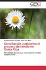 Conciliacion Judicial En El Proceso de Familia En Costa Rica Cover Image