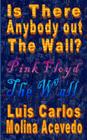 Is There Anybody Out The Wall? By Luis Carlos Molina Acevedo Cover Image