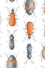 Beetles: How to Keep Your Passwords Secure Helpful Notebook Organizer for Remembering Username Pin and Login Details By Molly Elodie Rose Cover Image