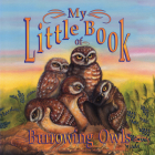 My Little Book of Burrowing Owls (My Little Book Of...) By Hope Irvin Marston, Maria Magdalena Brown (Illustrator) Cover Image