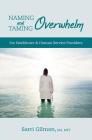 Naming and Taming Overwhelm: For Healthcare and Human Service Providers By Sarri Gilman Cover Image