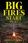 Big Fires Start Small: The Case for a Paradigm Shift in California's Response to Today's Wildfire Crisis By Thomas Pandola Cover Image
