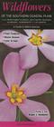 Wildflowers of the Southern Coastal Plain Including Northern Florida, Southern Georgia, Alabama, Mississippi & Louisiana: A Guide to Common & Notable By Roger L. Hammer Cover Image