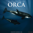 Orca (Journey with The) 2024 12 X 12 Wall Calendar Cover Image