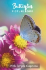Picture Book of Butterflies: Gift for dementia patients and seniors living with Alzheimer's disease. Large print for adults with simple captions. Cover Image