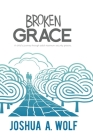 Broken Grace: A Child's Journey Through Adult Maximum Security Prisons Cover Image