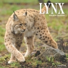 Lynx: 2021 Calendar By Patches And Me Cover Image