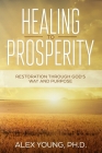 Healing to Prosperity: Restoration Through God's Way By Alex Young  Cover Image