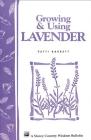 Growing & Using Lavender: Storey's Country Wisdom Bulletin A-155 (Storey Country Wisdom Bulletin) Cover Image