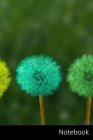 Notebook: Löwenzahn, Bunt, Menschen Von Farbe, Farbwechsel Notizbuch / persönliches Tagebuch / Schreibheft / Logbuch / Planer / By Notizbuch A5 Liniert Geschenkideen Cover Image