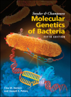 Snyder and Champness Molecular Genetics of Bacteria Cover Image