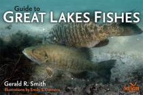 Guide to Great Lakes Fishes Cover Image