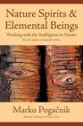 Nature Spirits & Elemental Beings: Working with the Intelligence in Nature By Marko Pogacnik Cover Image