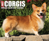 Corgis 2025 6.2 X 5.4 Box Calendar By Willow Creek Press Cover Image
