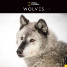 National Geographic: Wolves 2023 Wall Calendar Cover Image