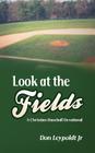 Look At The Fields: A Christian Baseball Devotional By Don Leypoldt Jr Cover Image
