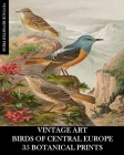 Vintage Art: Birds of Central Europe: 35 Botanical Prints By Vintage Revisited Press Cover Image