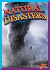Natural Disasters (Rank It!) By Jim Westcott Cover Image