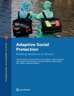 Adaptive Social Protection: Building Resilience to Shocks (International Development in Focus) By Thomas Bowen, Carlo del Ninno, Colin Andrews Cover Image