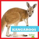 Kangaroos (My First Animal Library) By Mari C. Schuh Cover Image