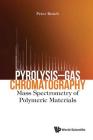 Pyrolysis-Gas Chromatography: Mass Spectrometry of Polymeric Materials By Peter Kusch Cover Image