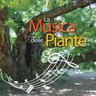 La Musica Delle Piante By Silvia Buffagni Esperide Cover Image