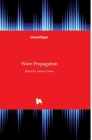 Wave Propagation By Andrey Petrin (Editor) Cover Image