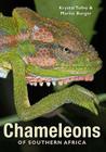 Chameleons of Southern Africa By Marius Burger, Krystal Tolley Cover Image