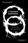 A  Broken Darkness (Beneath the Rising #2) Cover Image