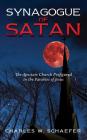 Synagogue of Satan By Charles W. Schaefer Cover Image