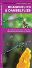 Dragonflies & Damselflies: A Folding Pocket Guide to Familiar, Widespread North American Species (Pocket Naturalist Guide) Cover Image