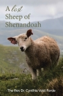 A Lost Sheep of Shenandoah: Charles Edwin Rinker of Virginia and Harry Bernard King of Iowa: Dna Reveals They Were the Same Man By Cynthia Vold Forde Cover Image