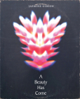 A Beauty Has Come By Jasmine Gibson Cover Image