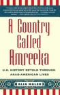 A Country Called Amreeka: U.S. History Retold through Arab-American Lives By Alia Malek Cover Image