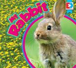 My Rabbit (Eyediscover) Cover Image
