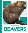 Beavers By Matt Lilley Cover Image