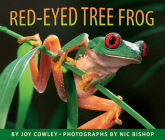 Red-eyed Tree Frog By Joy Cowley, Nic Bishop (Photographs by) Cover Image