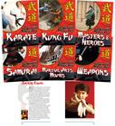 World of Martial Arts (Set) By Jim Ollhoff Cover Image