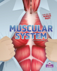 Muscular System By Tracy Vonder Brink Cover Image