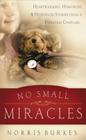 No Small Miracles: Heartwarming, Humorous, and Hopefilled Stories from a Pediatric Chaplain Cover Image