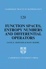 Function Spaces, Entropy Numbers, Differential Operators (Cambridge Tracts in Mathematics #120) By D. E. Edmunds, H. Triebel Cover Image