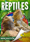 Reptiles (Reproduction) By Joanna Brundle Cover Image
