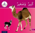 Arabic Club Readers: Pink Band: Big and Small Cover Image
