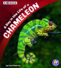 A Day in the Life of a Chameleon: A 4D Book By Lisa J. Amstutz Cover Image