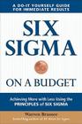 Six SIGMA on a Budget: Achieving More with Less Using the Principles of Six SIGMA Cover Image