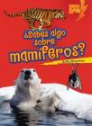 ¿Sabes Algo Sobre Mamíferos? (Do You Know about Mammals?) (Libros Rayo -- Conoce Los Grupos de Animales (Lightning Bolt) By Buffy Silverman Cover Image