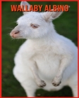 Wallaby Albino: Fatti sorprendenti e immagini sui Wallaby Albino Cover Image