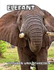 Elefant: zeichnen und schreiben Cover Image