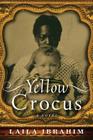 Yellow Crocus Cover Image